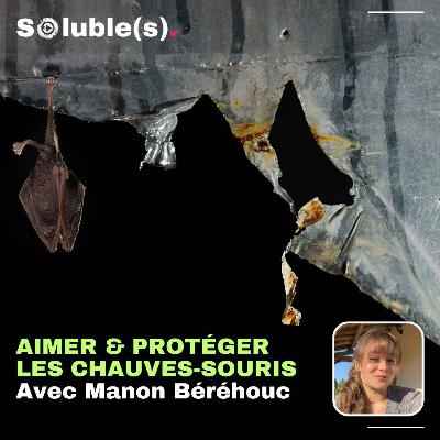 Aimer et protéger les chauves-souris - Avec Manon Béréhouc