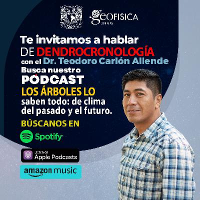Los árboles lo saben todo: el clima del pasado y el futuro. Descubre la dendrocronología