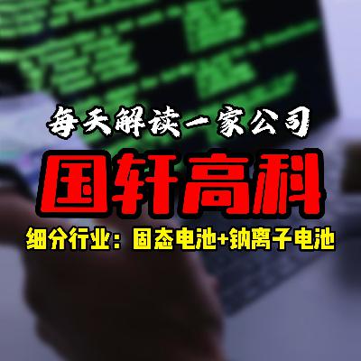 每天解读一家上市公司：国轩高科