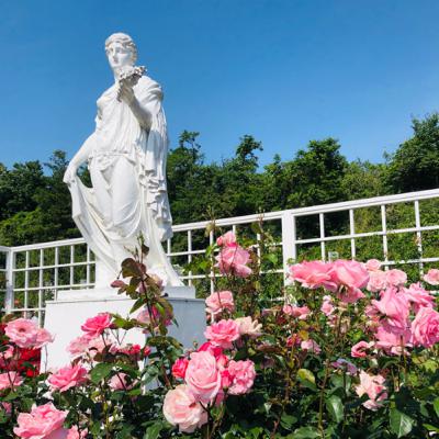 28 起業して失敗する人