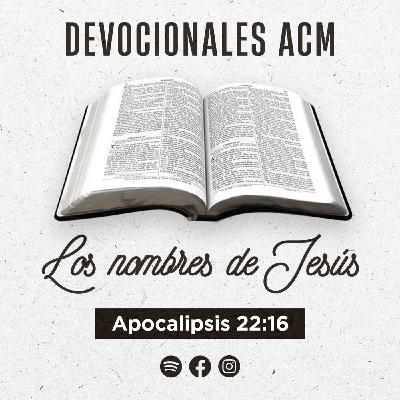 Los nombres de Jesús | Apocalipsis 22:16 Los nombres de Jesús | Apocalipsis 22:16