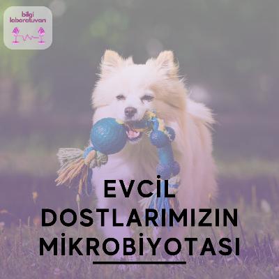 Evcil Dostlarımızın Mikrobiyotası: Gizli Savunma Ordusu