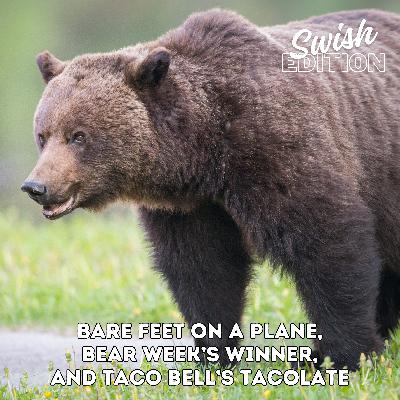 Bare Feet on a Plane, Bear Week's Winner, and Taco Bell's Tacolate