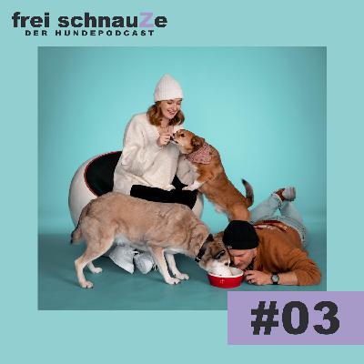 Hund Charly im Schokorausch