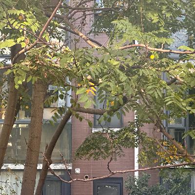 No.036-中医面针是智商税,还是真美容?我替你试了 No.036-中医面针是智商税,还是真美容?我替你试了