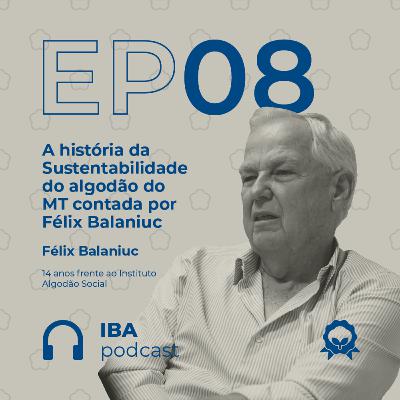 #8 A sustentabilidade do algodão do MT e as perspectivas para o futuro