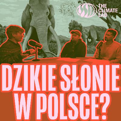 Dzikie słonie w Polsce? Rewilding, Lasopastwiska i Bioróżnorodność [Trzeci Sezon Zrównoważonych]