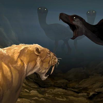 What Happened When Two Continents Collided