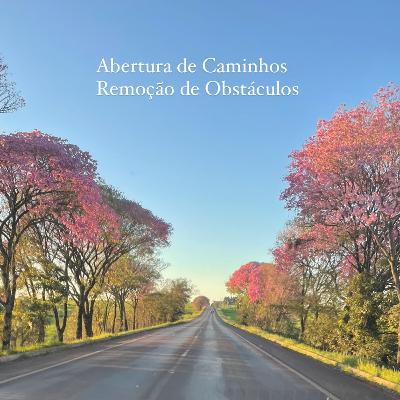 Meditação “Abrindo seus caminhos e removendo obstáculos, retornando à Fonte!” Venha comigo! Meditação “Abrindo seus caminhos e removendo obstáculos, retornando à Fonte!” Venha comigo!