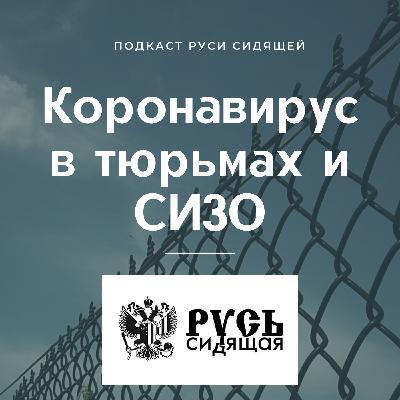 Коронавирус в тюрьмах и СИЗО