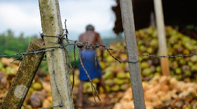 Trabalho escravo no Brasil