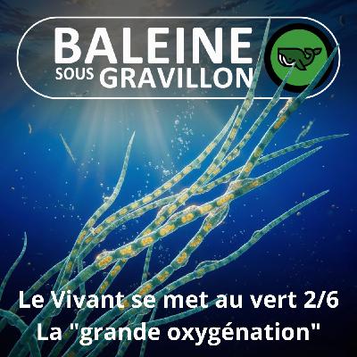 S07E74 Et le Vivant se mit au vert 2/6 : La "grande oxygénation" de la Terre
