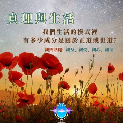 生活與真理我們生活的模式裡有多少是正道或世道的成分 生活與真理我們生活的模式裡有多少是正道或世道的成分