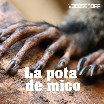 La pota de mico - Podcast de ficción - Terror - Català