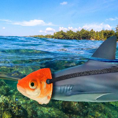 Easy Financial Protection Easy Financial Protection