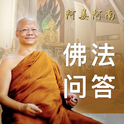 阿姜阿南2024年2月禅修营问答｜白骨观，谁是阿罗汉？
