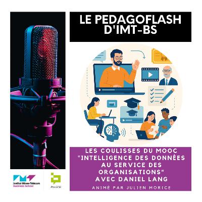 #22 - Les coulisses du MOOC "Intelligence des données au service des organisations" avec Daniel Lang