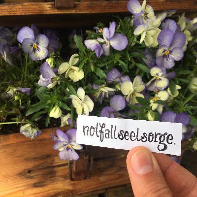 Folge 12: #Notfallseelsorge