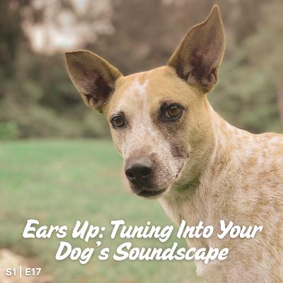 S1 I E17 Ears Up: Tuning Into Your Dog's Soundscape