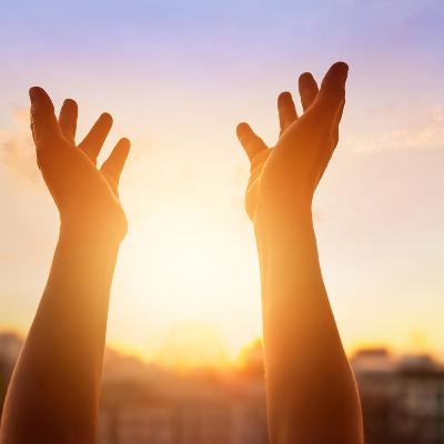 DFC #45 - Habacuque 3;17 - Louve a Deus Sempre DFC #45 - Habacuque 3;17 - Louve a Deus Sempre