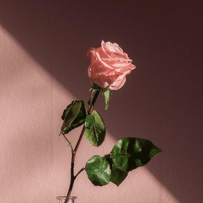 — Semangat Orang–Orang Hebat —