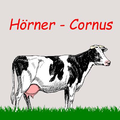 Hörner - Cornus | Podcast | Kuhles zum Kauen