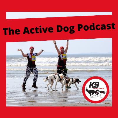 Episode 9: Finding your Motivation