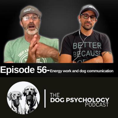 The Dog Psychology Podcast #056- Energy Work and Dog Communication
