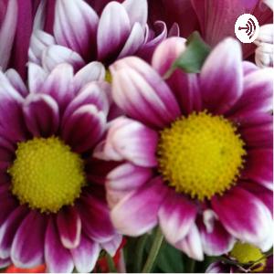 Complexities of Transition: Rhythm, Routine, Relationship Complexities of Transition: Rhythm, Routine, Relationship