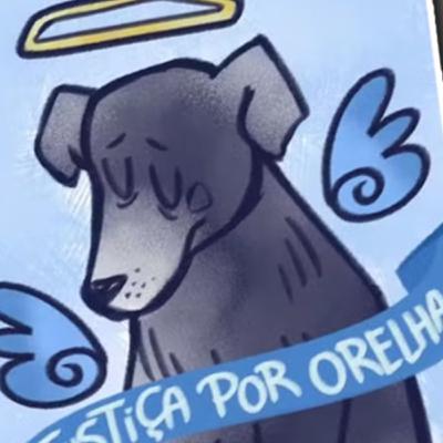 O QUE SE SABE SOBRE A MORTE DO CÃO ORELHA O QUE SE SABE SOBRE A MORTE DO CÃO ORELHA
