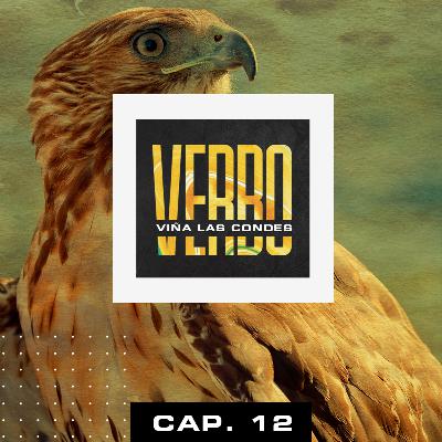 VERBO - Capítulo 12