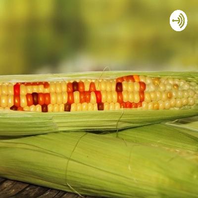 All things GMOs