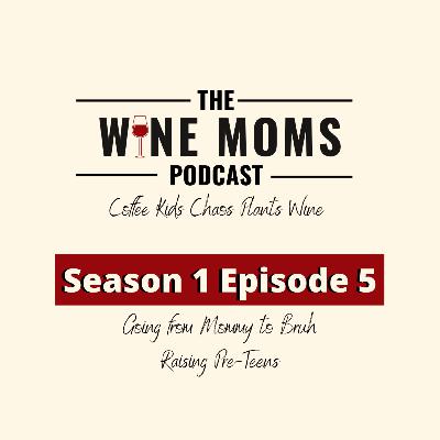 From Mommy to Bruh! Raising Pre-Teens