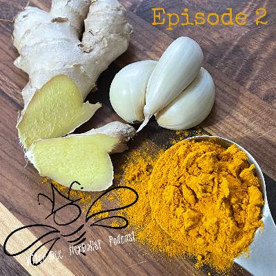 Immune System Support: Ginger, Turmeric, and Garlic - Episode 002 Immune System Support: Ginger, Turmeric, and Garlic - Episode 002