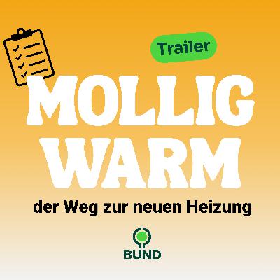 Trailer Mollig warm