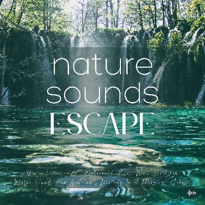 1 Hour Of Waterfall Bliss With Soothing Water Sounds & A Magical River's Melody | Relaxing Nature Sounds For Sleep, Meditation, Relaxation Or Focus | Sleep Sounds, Sounds Of Nature, Rain Sounds, Babbling Brook, Ocean Sounds, White Noise For Sleep & Study