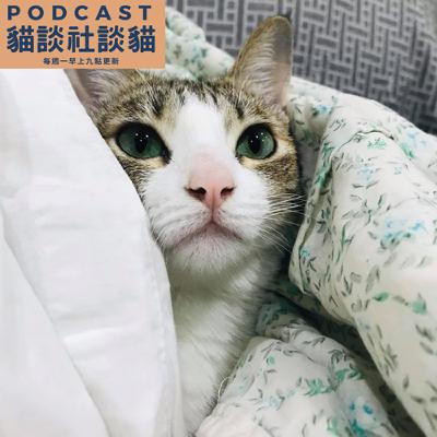 EP210 貓咪突然出現怪異的行為