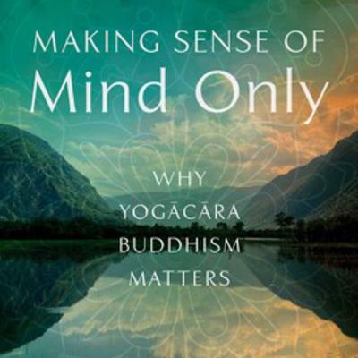 Making Sense of Mind Only 7