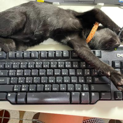 代孕旅程4：代孕家長的強心臟