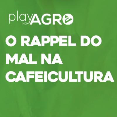 EP14 - O RAPPEL DO MAL NA CAFEICULTURA (BICHO MINEIRO) EP14 - O RAPPEL DO MAL NA CAFEICULTURA (BICHO MINEIRO)