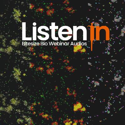 AI-Powered 3D Organoid Analysis