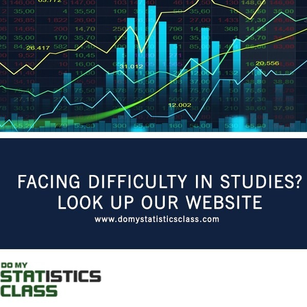 online statistics course