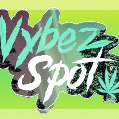 The Vibe Spot NYC Podcast Ep1. Come catch a Vibe! Meet Chris Gatsby and the Vibe Spot cast The Vibe Spot NYC Podcast Ep1. Come catch a Vibe! Meet Chris Gatsby and the Vibe Spot cast