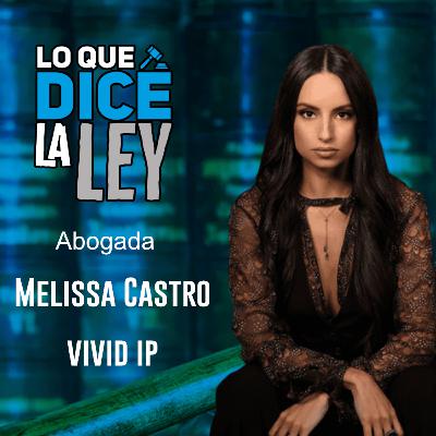 Lo Que dice la ley sobre el Derecho a la Propiedad Intelectual Lo Que dice la ley sobre el Derecho a la Propiedad Intelectual