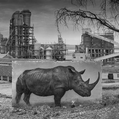 #22 Nick Brantd | Are our kids going to inherit only dust?