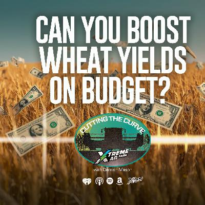 Farming Podcast | Can You Boost Wheat Yields on Budget? | XtremeAg