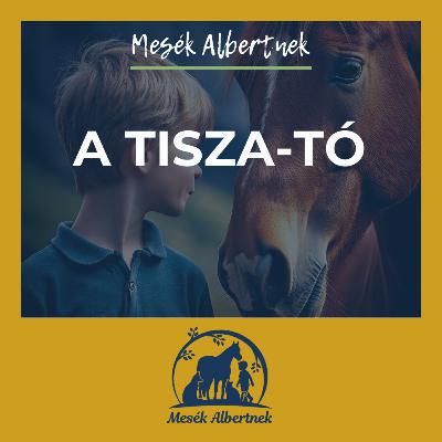 A Tisza-tó A Tisza-tó