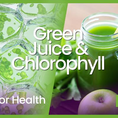 Green Juice & Chlorophyll | The Benefits of Chlorophyll Green Juice & Chlorophyll | The Benefits of Chlorophyll