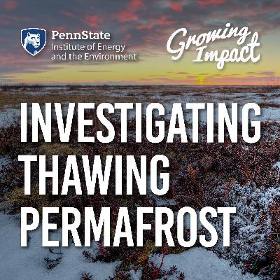 Investigating thawing permafrost