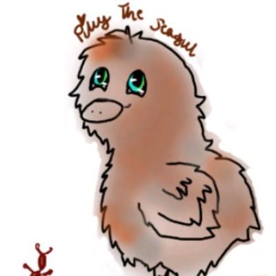 Time To Be A Seagull: Adventures of Piky the Seagull